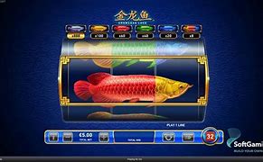 Slot Baru Ikan Arwana Hari Ini 2024 Terbaru